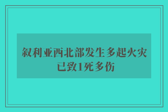 叙利亚西北部发生多起火灾 已致1死多伤